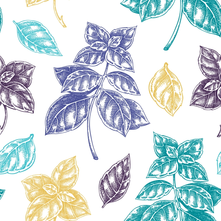 Italian Basil seamless pattern. Kitchen spice sketches. Italian herbs and spices background. Hand-drawn vector illustration. NOT AI generated